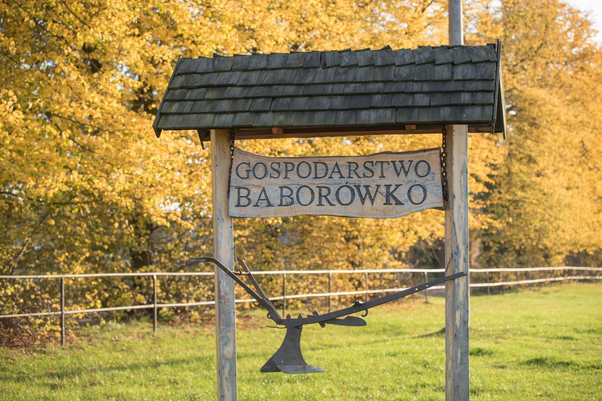 Palac Baborowko ชามุตูลี ภายนอก รูปภาพ